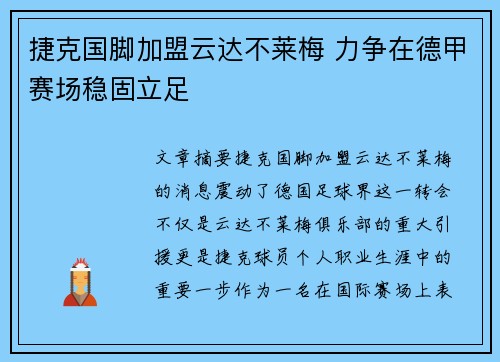 捷克国脚加盟云达不莱梅 力争在德甲赛场稳固立足